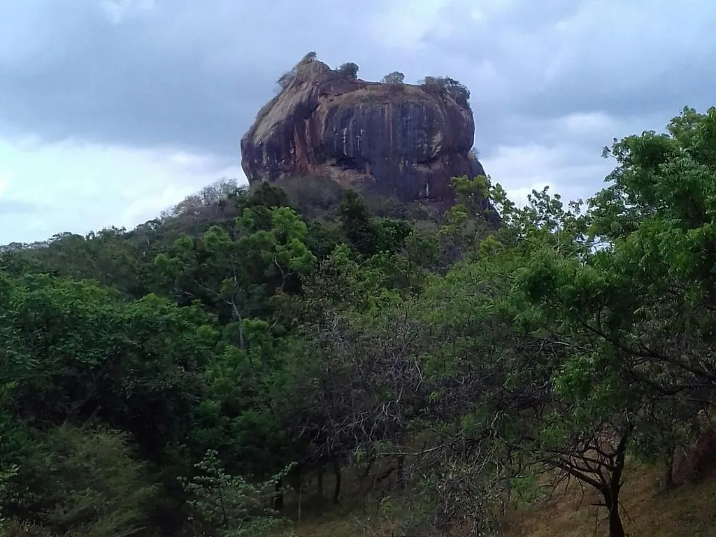 Liyara Home Stay Sigiriya