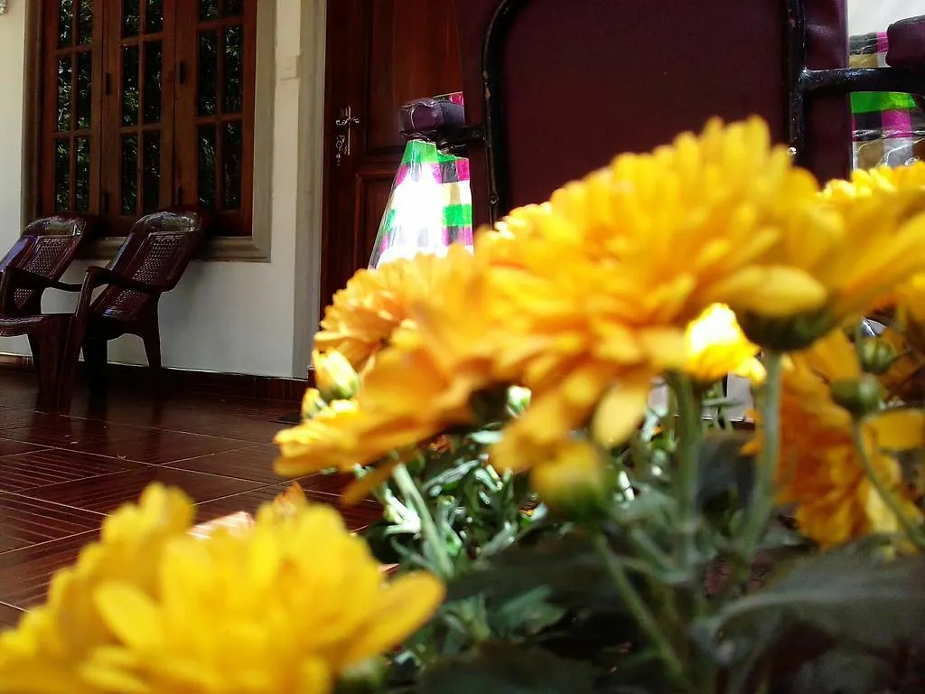 Liyara Home Stay Sigiriya 0*,