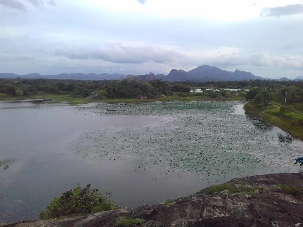 Liyara Home Stay Sigiriya Homestay