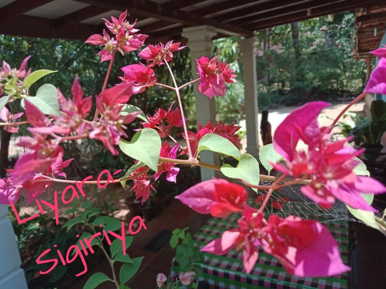 Liyara Home Stay Sigiriya 0*,  Sri Lanka
